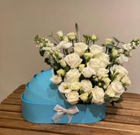 هندول المولود