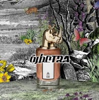 عطر بديل تیرابل تيدي من بنهالجنز Terrible Teddy Pe...