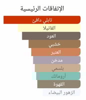 عطر بديل ذا بيوتشينج ياسمين من بنهالجنز The Bewitc...