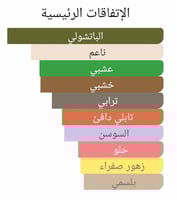 عطر بديل سول باتشولي من فيرتوس Sole Patchouli Vert...