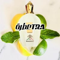 عطر بديل رینیسانس من زيرجوف XJ 1861 Renaissance Xe...