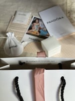 ملحقات PANDORA الماستر سلسال أو خاتم