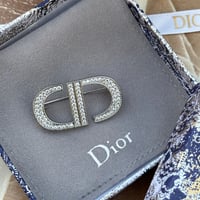 بروش Christian Dior فضي