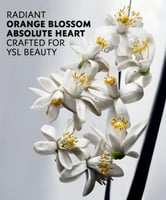 عطر ماي سلف لابسولو