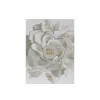 مسك أند روز