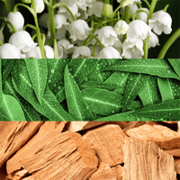 عطر كونتردكشن من كالفن كلاين للنساء - 100 مل - او...