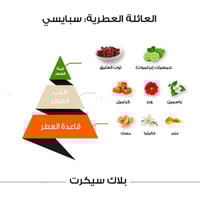 عطر بلاك سيكرت كلاسيك من الماجد للعود - او دي بارف...