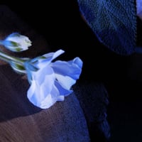 إيف سان لوران عطر واي أو دو برفان عطور رجالية100مل