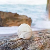 عطر Franck Olivier الصدفه او دو بارفيوم 50 مل