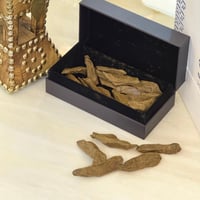 عود مروكي بيور ملكي