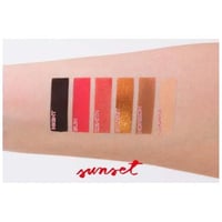 بيير رينيه بروفيشنال مجموعة ظلال العيون سنست - 6 ظ...