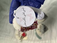 تاق شمعي مُعطر