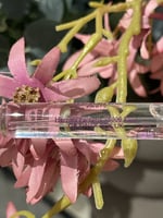 عطر هيرمز الاصلي ١٠٠٪