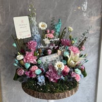 جذع مواليد السعادة