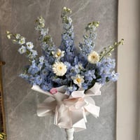 باقة الدلفينيوم