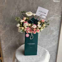 اسورة فايندرا مع تنسيق فاخر