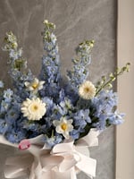 باقة الدلفينيوم