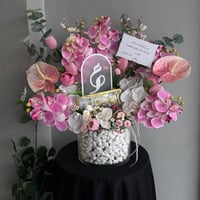 فازة الف مبروك