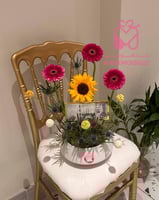 فازة إشراقة الجيربيرا