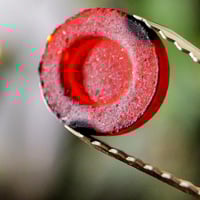 3 علب فحم شذا فضي 40قرص