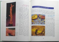 المعادن النفيسة والأحجار الكريمة وشبه الكريمة الطب...