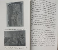 الفن وعالم الرمز . تأليف : د . محسن محمد عطية . ال...