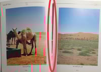 دليلك إلى رغبة . تأليف : د . خالد عبدالرحمن الجريس...