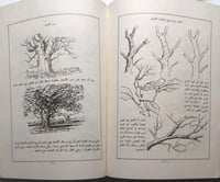 الموسوعة العلمية في الرسم والتلوين . محي الدين طال...