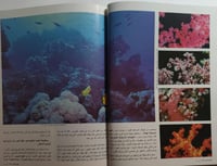 مجلة الفيصل . العدد 132 جمادى الاخرة 1408 ه