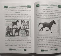 موسوعة الخيول العربية والعالمية . تأليف: د. محمد س...