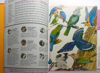 Animal Kingdom. hardcover. 251 page. big size