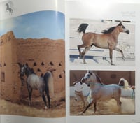 الخيل العربية . تأليف : د . خالد بكر كمال . الصفحا...