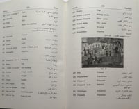 معجم مصطلحات الفنون - ثلاثي اللغات .