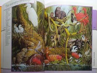 Animal Kingdom. hardcover. 251 page. big size