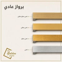 برواز عادي 2