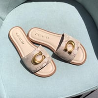 سليبر كوتش سكري