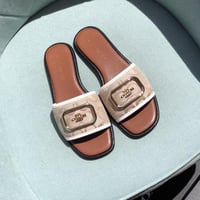 سليبر كوتش سكري