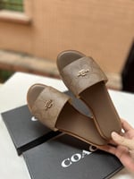 سليبر كوتش بني