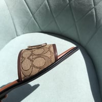 سليبر كوتش بني