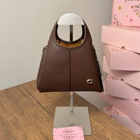 شنطة كوتش لانا ميني بني