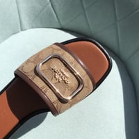 سليبر كوتش بني