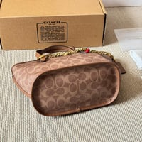 شنطة يد كوتش بيج