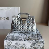 شنطة ليدي ديور مايكرو فضي