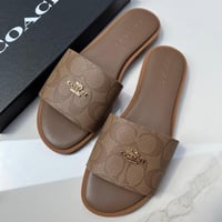 سليبر كوتش بني