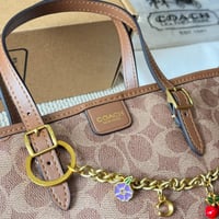 شنطة يد كوتش بيج