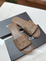 سليبر كوتش بني