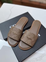 سليبر كوتش بني