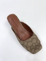 كعب كوتش بني