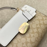 شنطة يد كوتش بيج