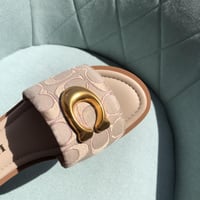 سليبر كوتش سكري